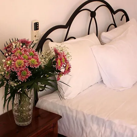 Rigas * 斯基亚索斯镇