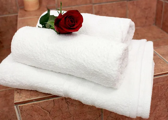 公寓 Rigas 斯基亚索斯镇